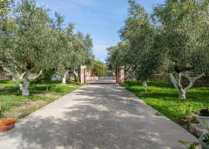 Panorea Zante Gaitani