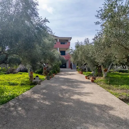 Panorea Zante Апартаменты *