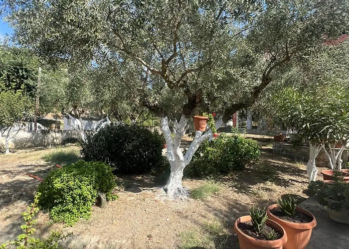 Panorea Zante * Gaitani