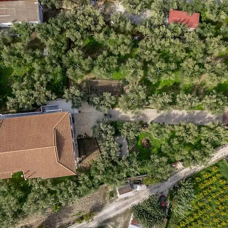 Panorea Zante Gaitani