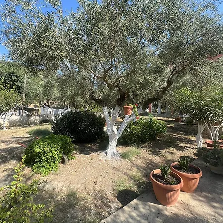Panorea Zante * Gaitani